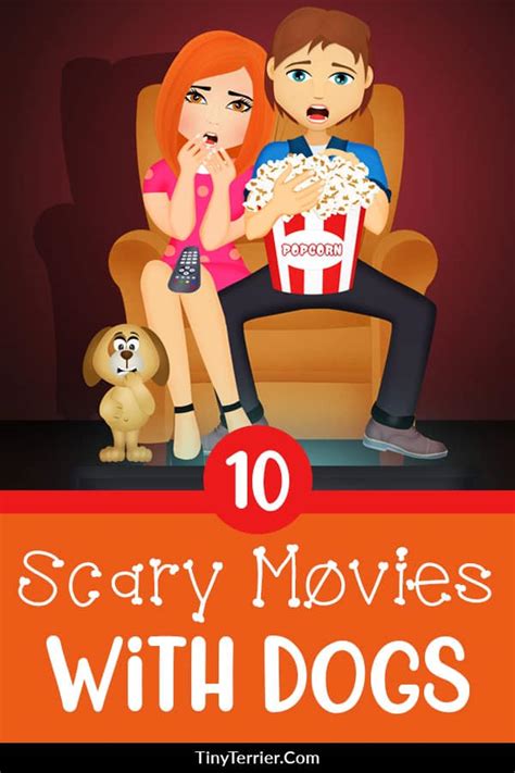 10 Halloween Dog Movies To Watch With Your Dog Tiny Terrier