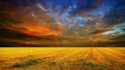 Cloudy Sunset Cornfield High Definition Wallpapers Hd Wallpapers