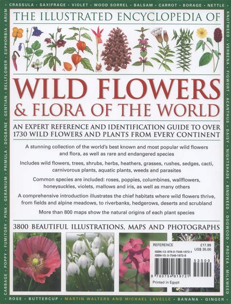 The Illustrated Encyclopedia Of Wild Flowers And Flora Of The World An