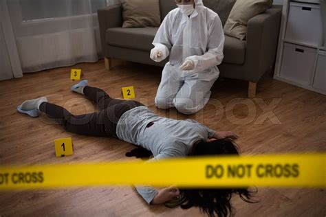 Criminalist Collecting Evidence At Crime Scene Stock Image Colourbox