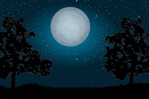 Night Sky With Moon And Stars Silhouette Illustrations Royalty Free