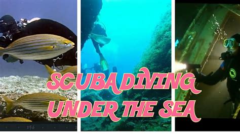Scuba Diving Under The Sea Youtube