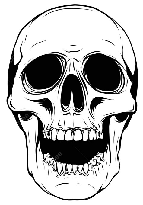 Outline Graphics Vector Illustration Skull In Black Sign Vintage