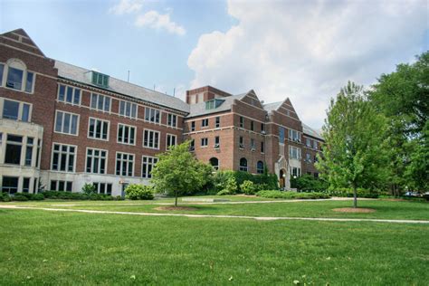 Michigan State University Courses Programs Duration And Fees