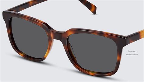 Tortoise Sunglasses Classic Specs