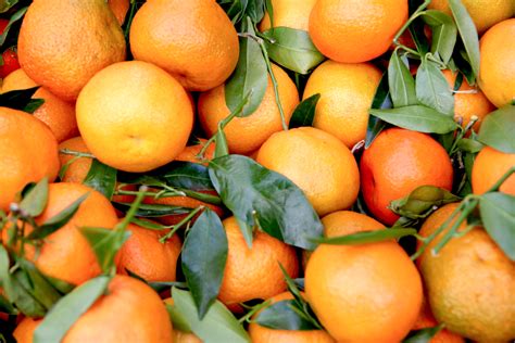 Poshmark makes shopping fun, affordable & easy! Global 2018/19 orange production seen up 4.2 million ...
