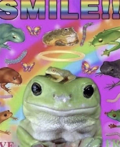 Pin By V On Aesthetic In 2020 Cute Frogs Cute Memes Frog