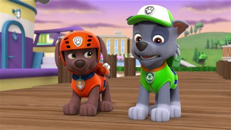 Paw Patrol Zuma And Rocky