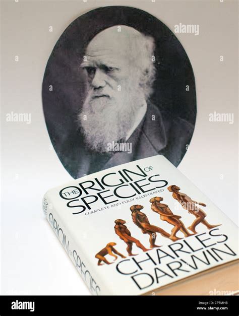 Darwin Evolution Hi Res Stock Photography And Images Alamy