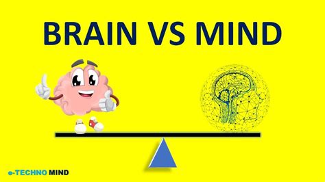 What Is The Difference Between The Brain And Mind Mind Vs Brain Simple Explanation Youtube
