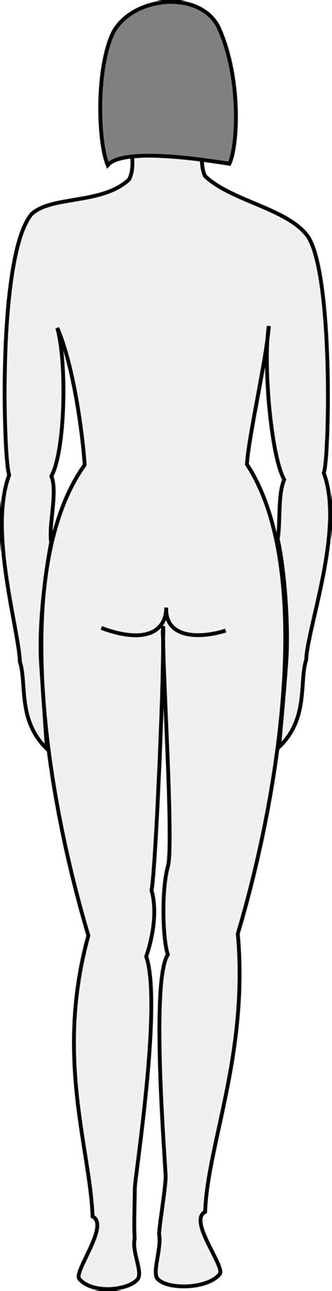 Body outline front and back. Free Female Body Cliparts, Download Free Clip Art, Free Clip Art on Clipart Library