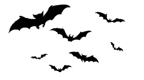 Pin By Jeanne Loves Horror💀🔪 On Bats Black Cat Art Bat Art Raven Art