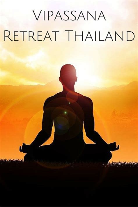 My Vipassana Meditation Retreat In Thailand At Suan Mokkh International With Images