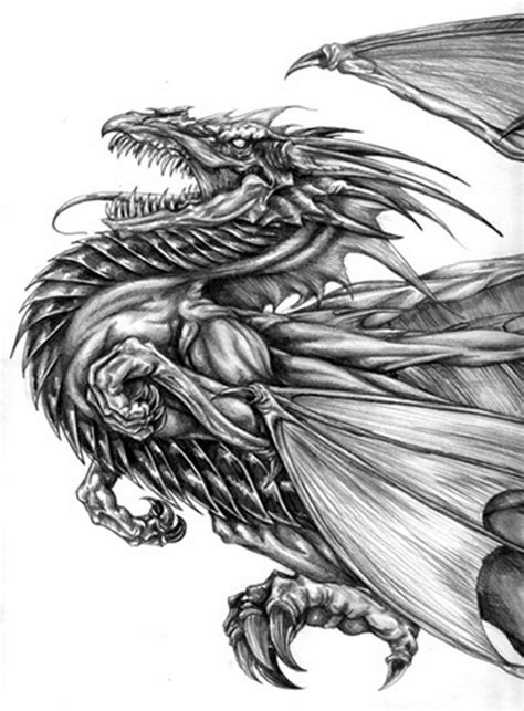 10 Cool Dragon Drawings For Inspiration Hative