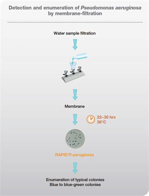 Rapidpaeruginosa Agar For Water Testing Food Science Bio Rad