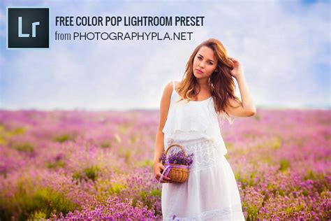 Dark forest light room preset free. Blog, Freebies | Free Color Pop Lightroom Preset ...