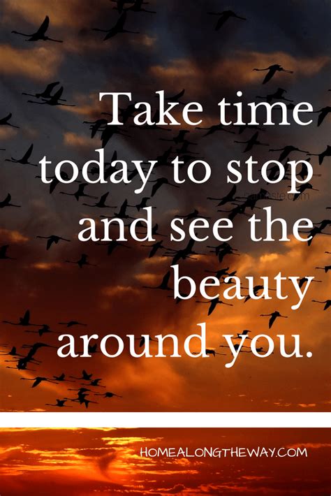 Take Time Today To Stop And See The Beauty Around You Home Along The