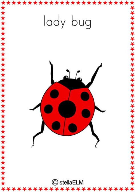 Lady Bug