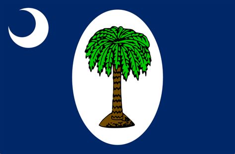 South Carolina January 1861 Flag Charleston Promotion