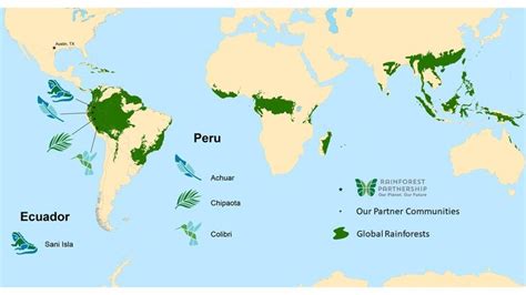 Global Rain Forest Rainforest Map Rainforest Activities Rainforest