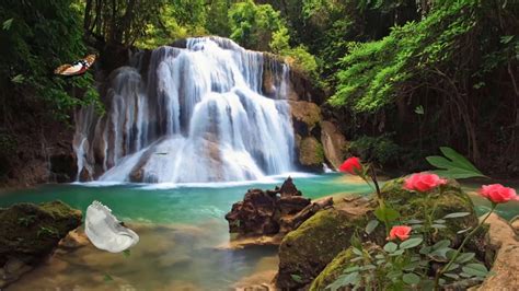 The Magical Waterfall 1 Hour Of Relaxing Waterfalls And Nature Sounds