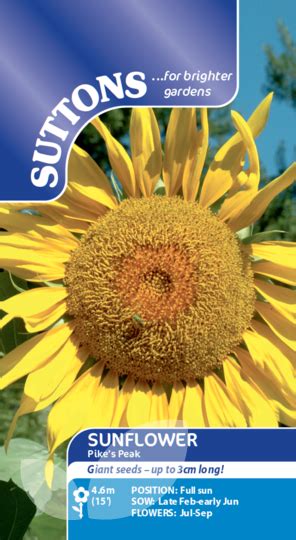 Seeds Sunflower Pikes Peak For Sale Buy Online
