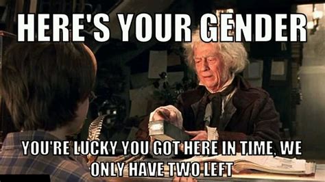 Harry potter funny pictures mundo harry potter harry potter last movie. View Out These Funny Harry Potter Student Memes!