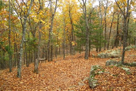 Maybe you would like to learn more about one of these? Mount Nebo State Park - Summit Park Trail - Dardanelle ...