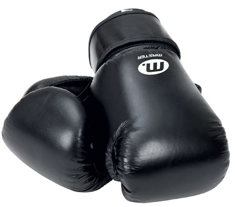 Master Fitness Boxing Glove Sport And Outdoor Cdoncom