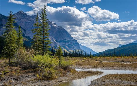Картинки Канада Rocky Mountains Alberta гора Ручей Природа Пейзаж