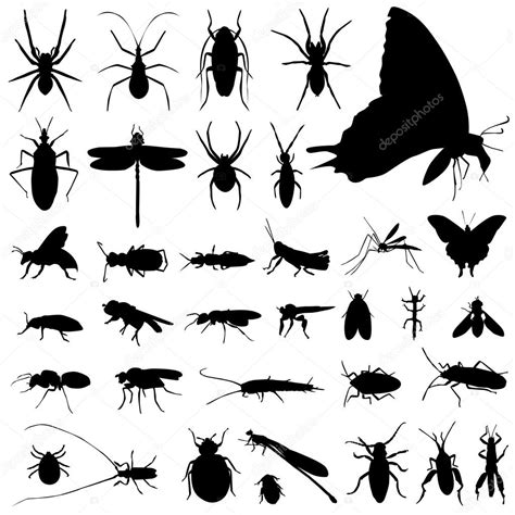 Insect Silhouettes — Stock Vector © Bogalo 6766051