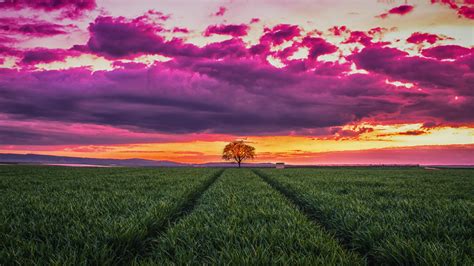 Sunset Landscape Horizon 4K Wallpapers | HD Wallpapers | ID #30469
