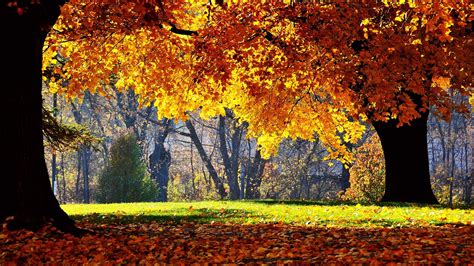 Sunny Autumn Day Wallpapers Wallpaper Cave