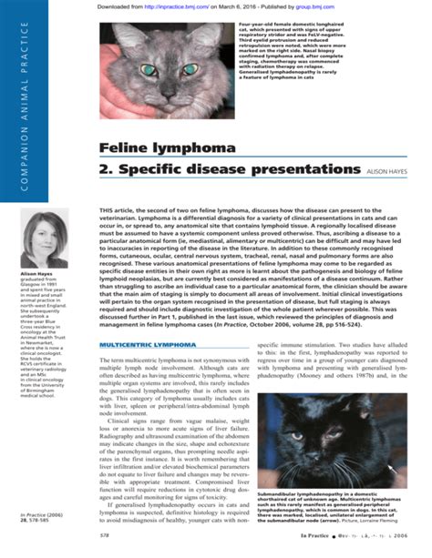 Feline Lymphoma 2 Specific Disease Presentations