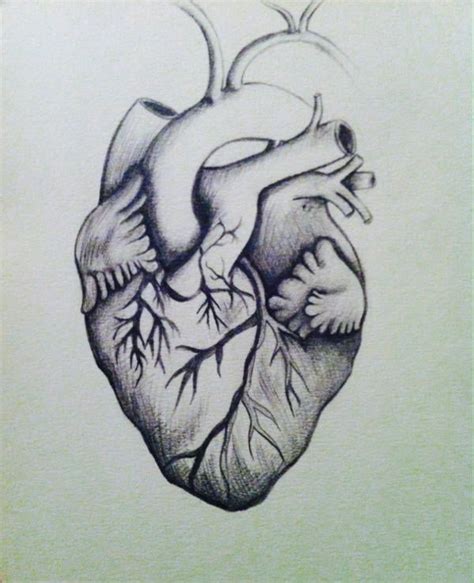 Heart Pencil Drawing Drawing Heart Drawings Sacred Rose Rodriguez