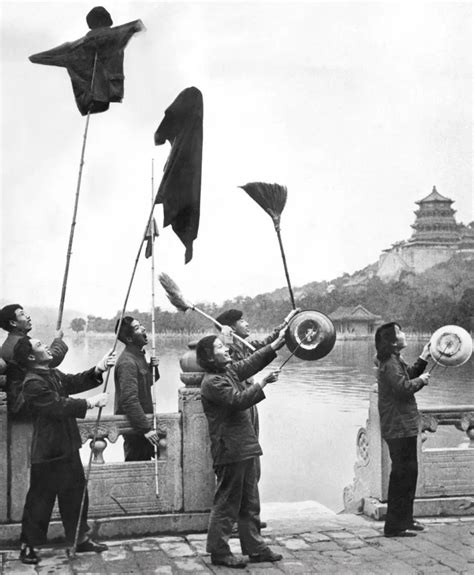 People Scaring Sparrows During The Four Pests Campaign Summer Palace