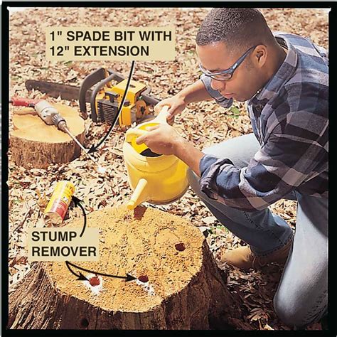 Expect to pay about £3000 plus vat for this job. How to Remove a Tree Stump Painlessly | Stump removal ...