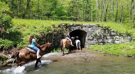 The Horseback Waterfall Tour In North Carolina Thats Simply Unforgettable