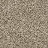 Home Depot Carpet Special Buy Pictures