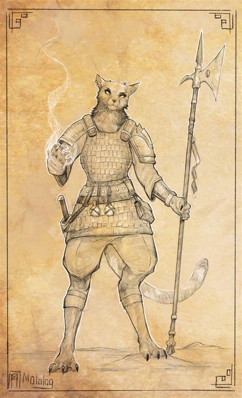 Tabaxi Commission By Motolog On Deviantart