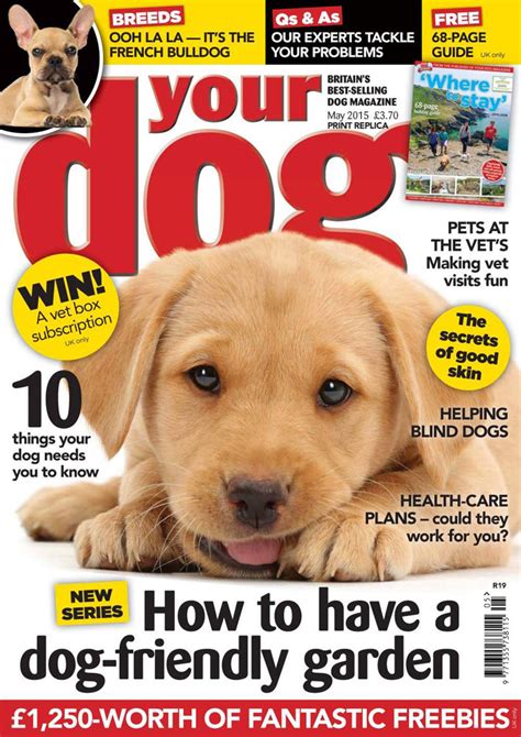 Your Dog Magazine Cover May 15