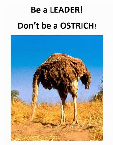 Taste Of Life Be A Leader Dont Be A Ostrich