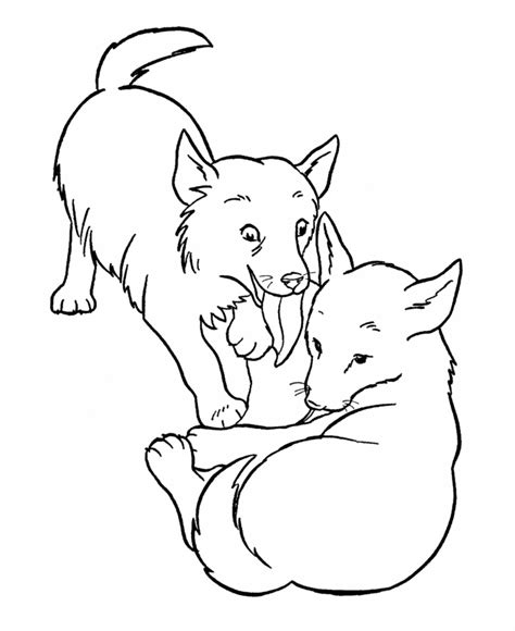 Dog / wolf coloring contest open » remixes. Realistic Wolf Coloring Pages - Coloring Home