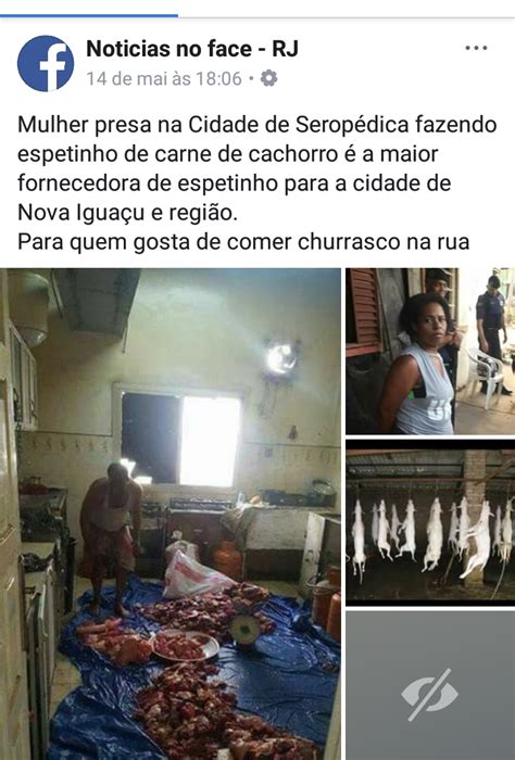 Mulher é presa em Serrinha BA fazendo espetinho de carne de cachorro Verdade ou mentira