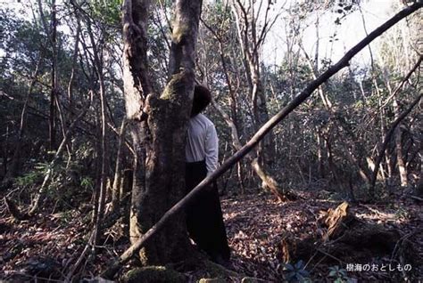 Aokigahara Forest Aokigahara Aokigahara Forest Haunted Forest