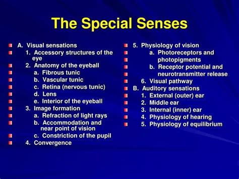 Ppt The Special Senses Powerpoint Presentation Free Download Id635993
