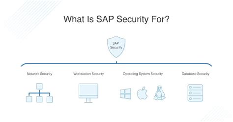 Sap Security Cyberfort Software