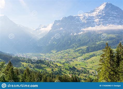 Spring In The Grindelwald Valley View Of The Eiger From Bussalpstrasse