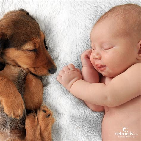 Moms With Dogs Have Healthier Babies