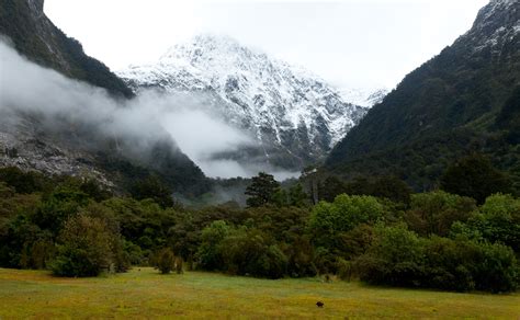 New Zealand Park Mountains Fiordland Grass Nature Fog Mist